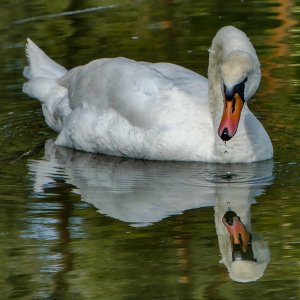 Ausflug am See 2.jpg
