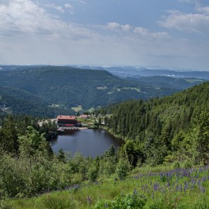 Schwarzwald
