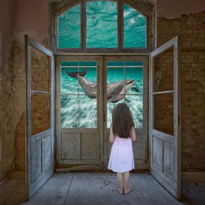 Fenster mit Ausblick