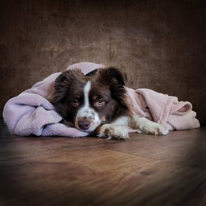 unser kleines Fotomodel