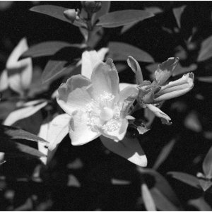 20250817 Freimersheim (01) - 1MB.jpg