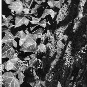 20250817 Freimersheim (19) - 1MB.jpg