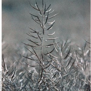 20250727 (6) - 1MB.jpg