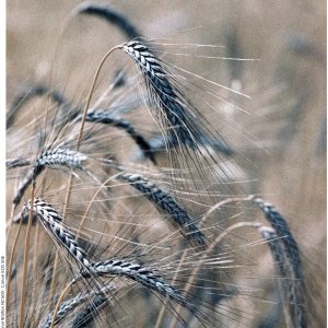 20250727 (28) - 1MB.jpg