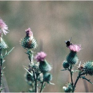 20250727 (54) - 1MB.jpg