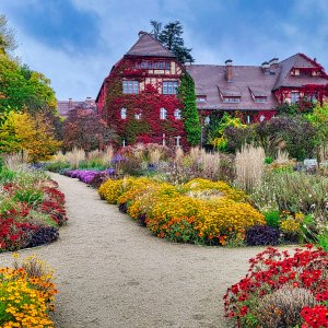 berlin_botanischer garten 2025 10 10_001_lu.jpg