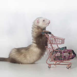 Frettchen mit Einkaufswaagen.^^