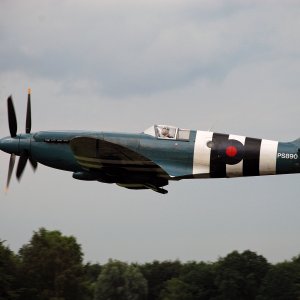 Spitfire