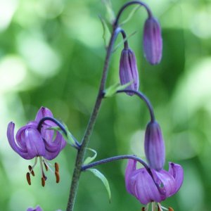 4 schnelle Macros während der Arbeit