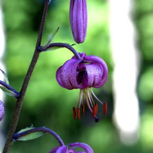 4 schnelle Macros während der Arbeit