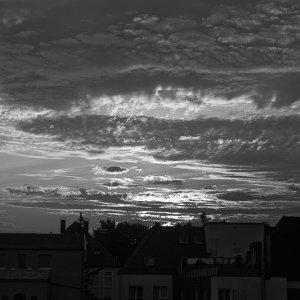 Am frühen Morgen ( 2 )