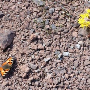 ein Tag im Steinbruch