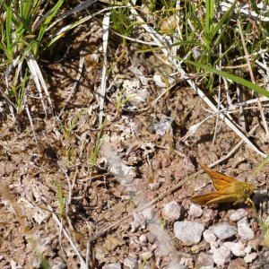 ein Tag im Steinbruch