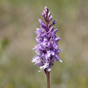 ein Tag im Steinbruch