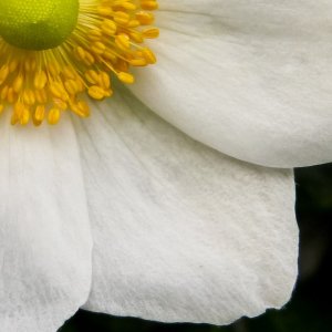 100% Crop von Sigma SD14 und Lumix DMC ZX1