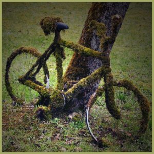 mossTALGIE meets MOOSamBIK(e)°