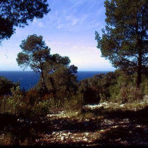 Natur pur - Südrankreich