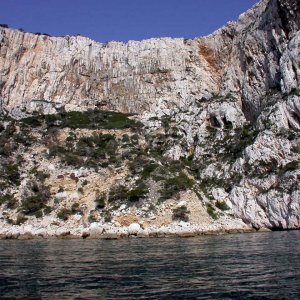 Natur pur - Südrankreich