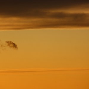 Für den Thread im Canonforum...