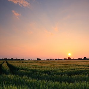 Für den Thread im Canonforum...