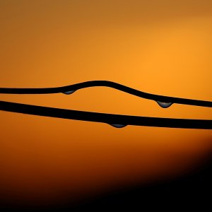 Für den Thread im Canonforum...