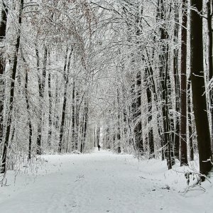 Schnee auch in Nottuln