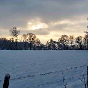 Schnee auch in Nottuln