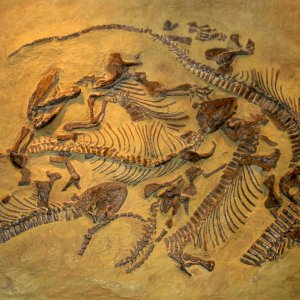 Wenn Steine erzählen....