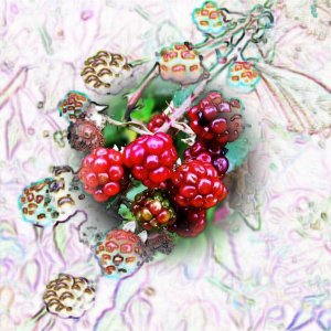 Experiment mit Früchten