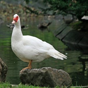 Ausflug in den Tierpark