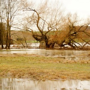 Schmelzwasser-der Schnee von gestern