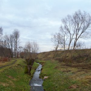 Erste Bilder EX1 aus RAW