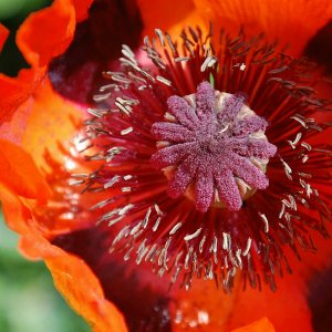 Meine Zeit kommt auch wieder