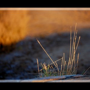 Habs grad gefunden...