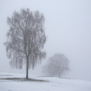 Abschied vom Winter ?