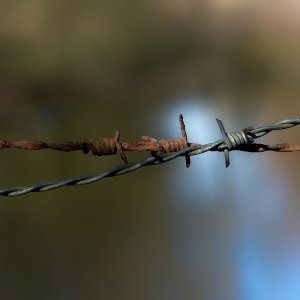 barbed wire....