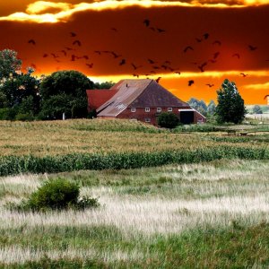 Reisetipp ,,Greetsiel"