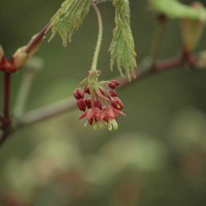 Der Frühling ist in Sicht......