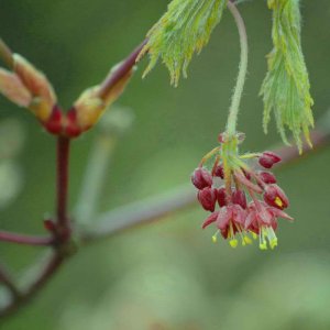 Der Frühling ist in Sicht......
