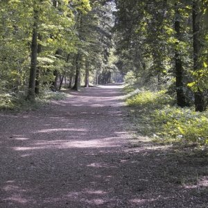 Die ersten Gehversuche mit der Sigma SD10