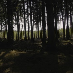 Die ersten Gehversuche mit der Sigma SD10