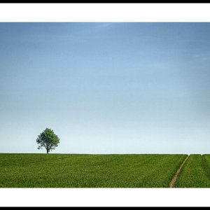 Gestern auf dem Lande....
