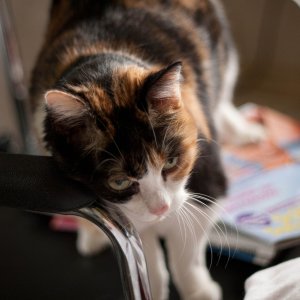 Mann bin ich schmusig