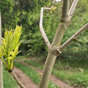 Neulich in der Fränkischen Schweiz