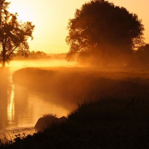Nebelschwaden über der Schwalm