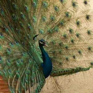 Du kommst hier nicht durch