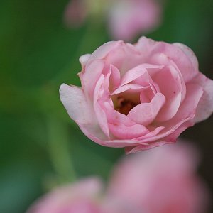 Mal meine 10x Macrolinse probiert