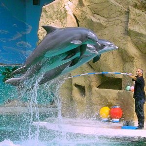 Tiere im Duisburger Zoo