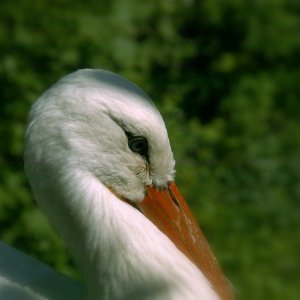 Tiere im Duisburger Zoo