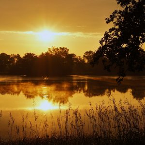 Sonnenaufgang über dem Schwarzenbörner Teich